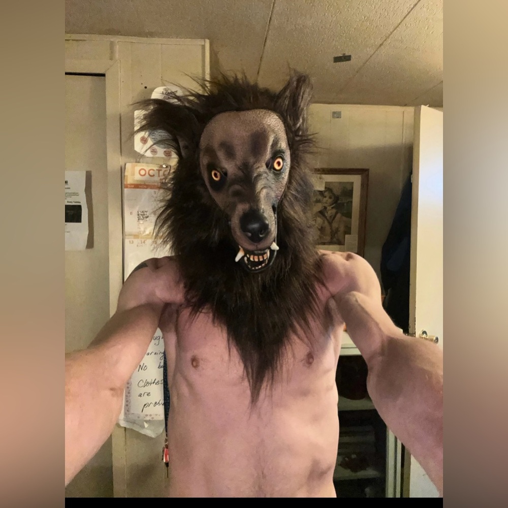 Werewolf party mask.  Halloween maybe. New